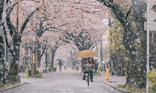 要过年了年货赶紧准备好，家家户户备好3种好运果，寓意平安喜乐
